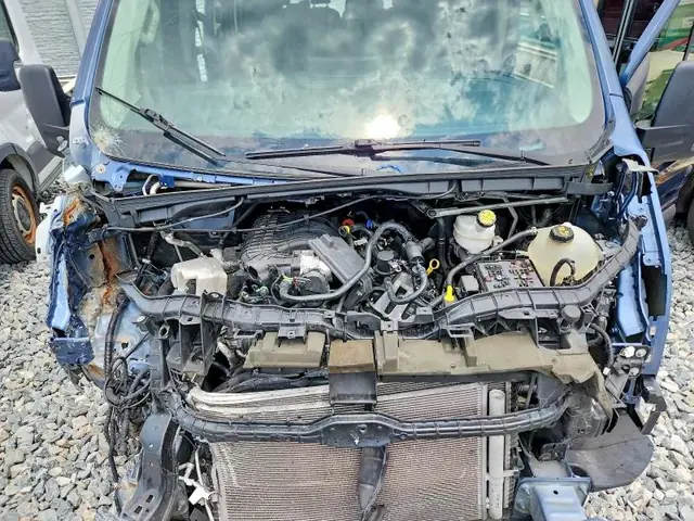 FORD TRANSIT 2024 photo 12