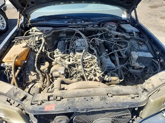 BMW X5 2024 photo 11