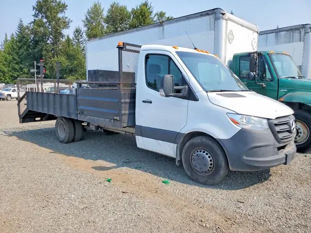 MERCEDES-BENZ SPRINTER 2022 photo 4
