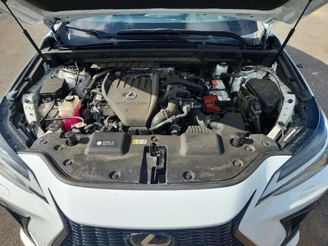 LEXUS NX 2022 photo 12