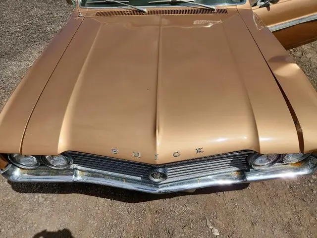 BUICK SKYLARK BASE 1964 photo 11