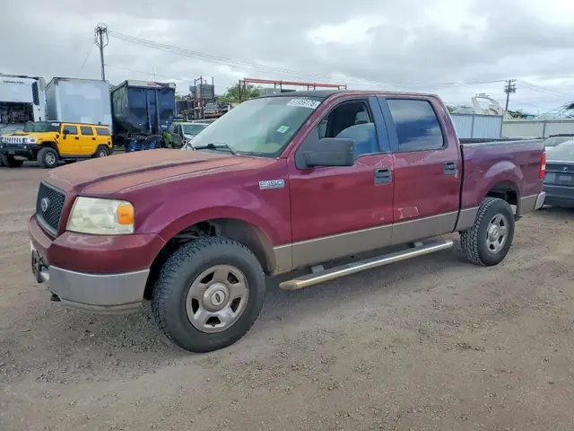 FORD F150 2005 — MINOR DENT/SCRATCHES